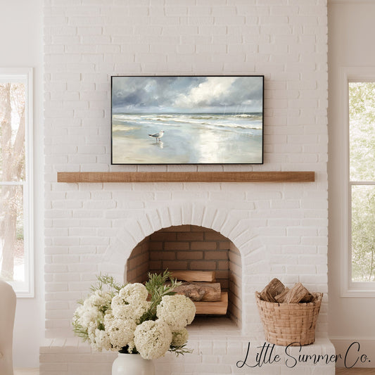Seagull Shoreline Frame TV Art displayed on a TV