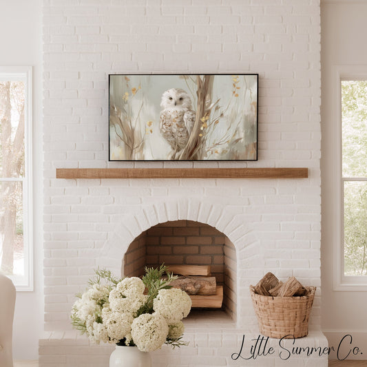 White Owl Tree Branch Frame TV Art displayed on a TV