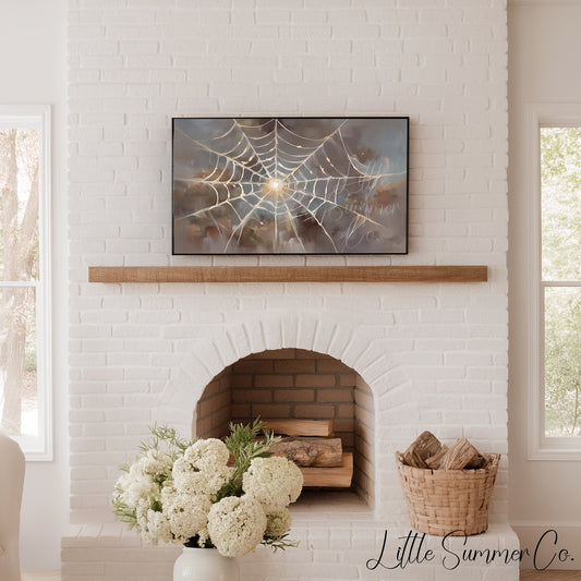Sunlit Spider Web Frame TV Art displayed on a TV