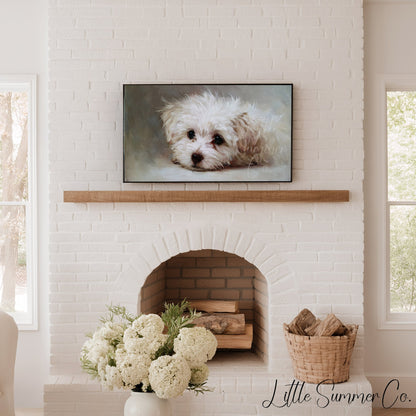 White Puppy Frame TV Art displayed on a TV