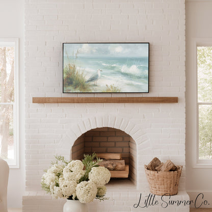 Seagull Beach Dunes Frame TV Art displayed on a TV