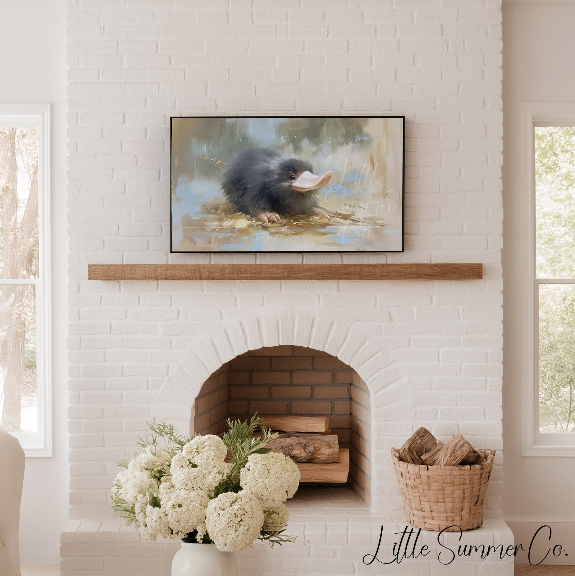 Platypus Frame TV Art displayed on a TV