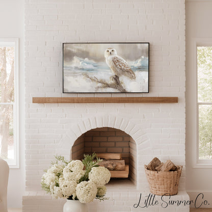 Snowy Owl on Branch Frame TV Art displayed on a TV