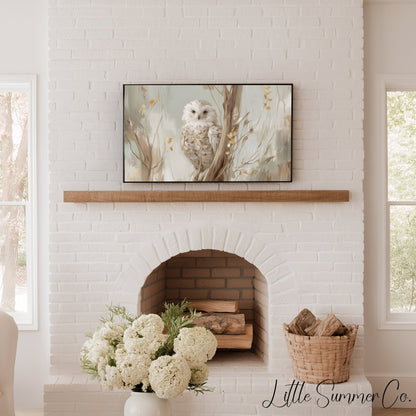 White Owl Tree Branch Frame TV Art displayed on a TV